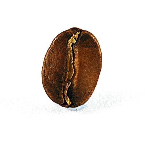 Kaffeebohne Filterkaffee