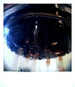 AeroPress Goldfinch Espresso