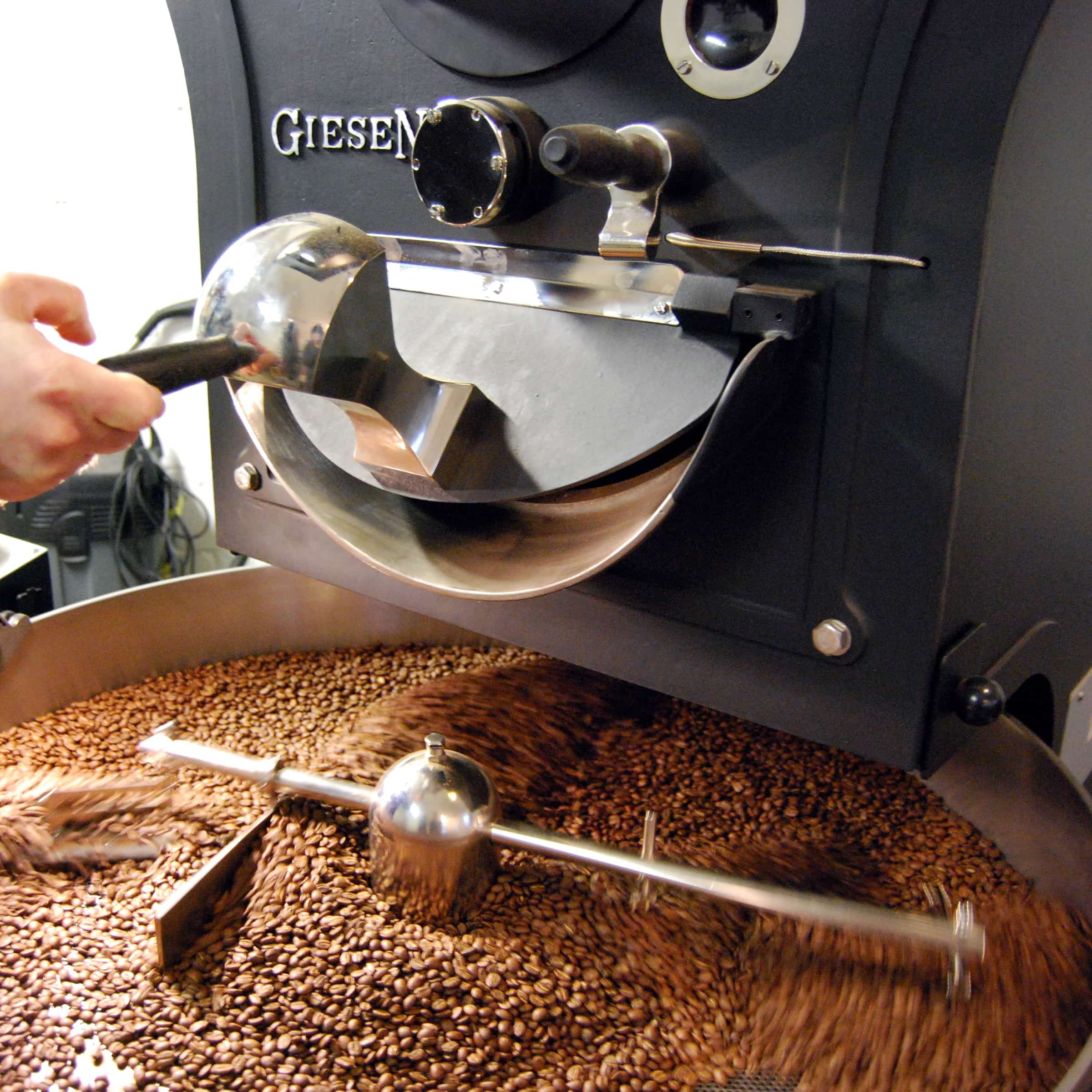 Gentle, skilled roasting roastery Berlin