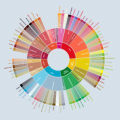 flavor wheel