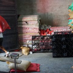 Kaffee Guatemala